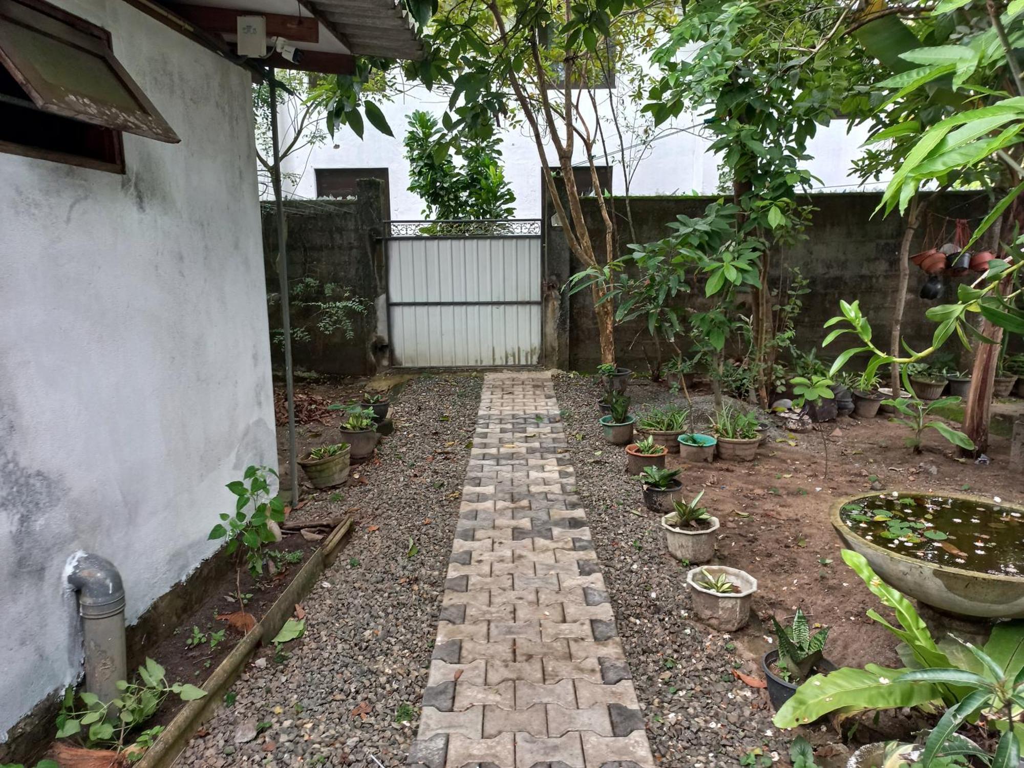 Mango Villa 703 Hikkaduwa Exteriér fotografie