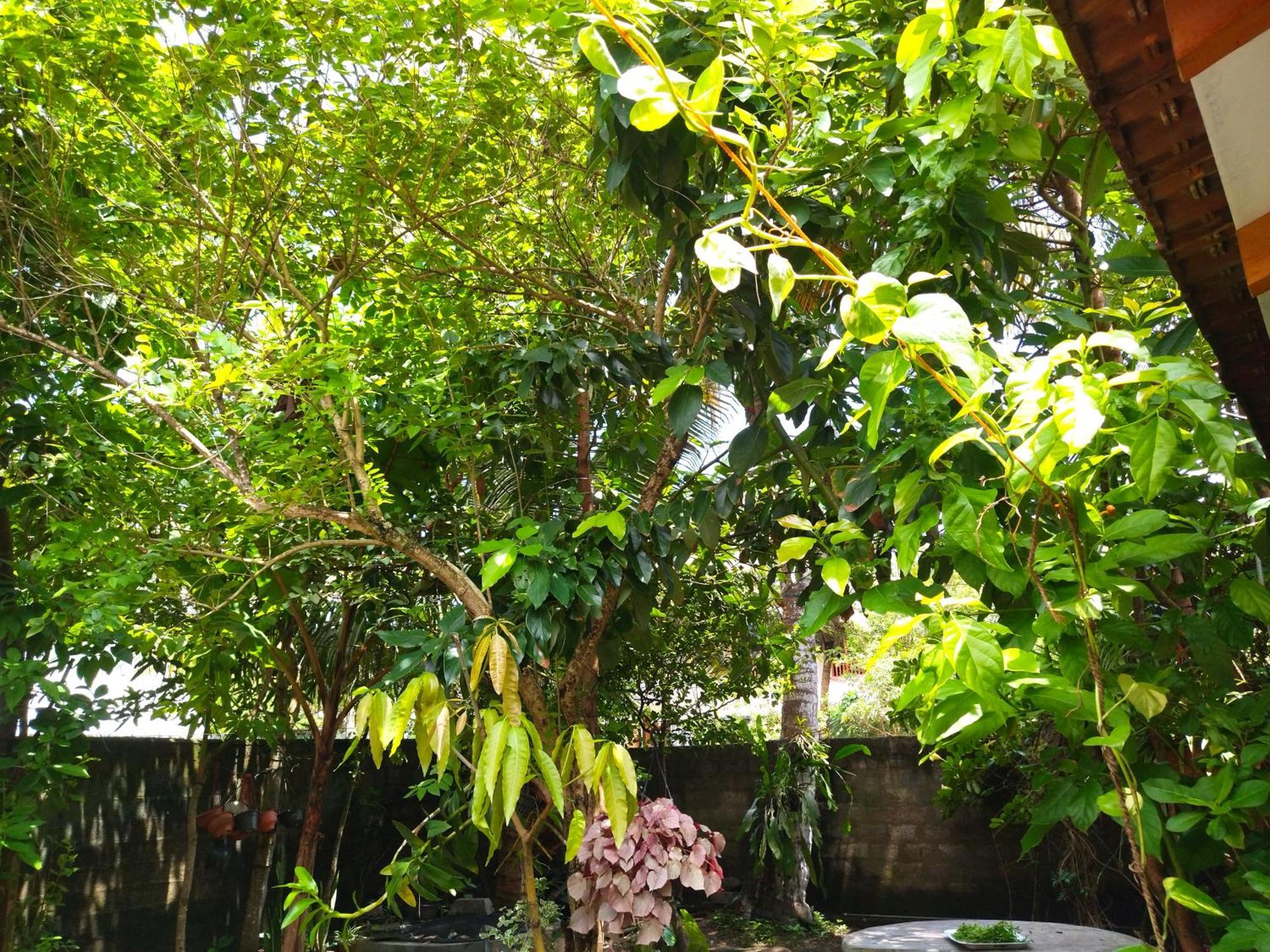 Mango Villa 703 Hikkaduwa Pokoj fotografie